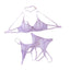 House Of Dasein Purple Spicy Girl Perspective Bra Set Erotic Lingerie Underwear Four Piece - Purple - L