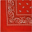 Prowler Red Orange Hanky