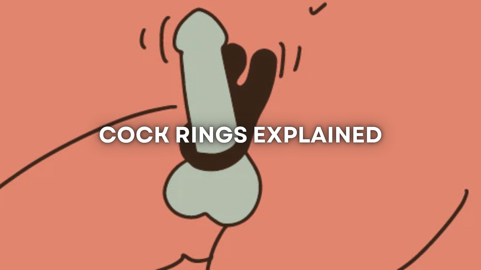 Cock Rings Explained: A Beginner's Guide to Comfort, Fit, and Body Safe Choices LOVVA