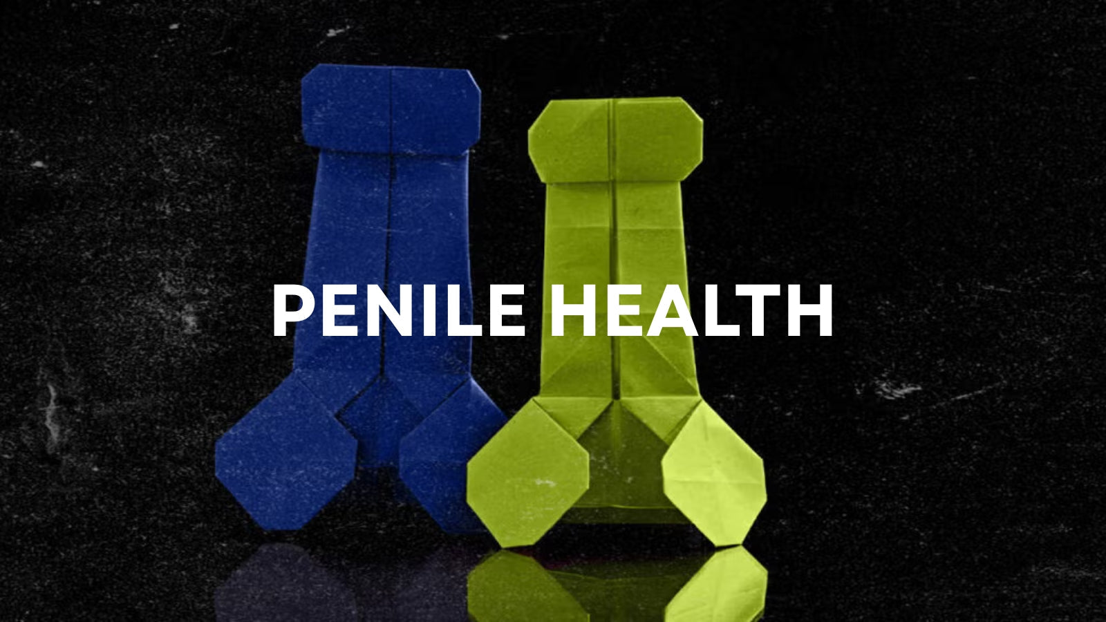 Penile Health: The Complete Guide to Confidence, Performance, and Intimate Wellness LOVVA
