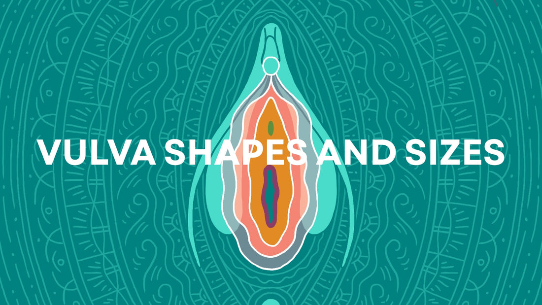 Vulva Shapes and Sizes: Why Every Vulva Is Normal LOVVA
