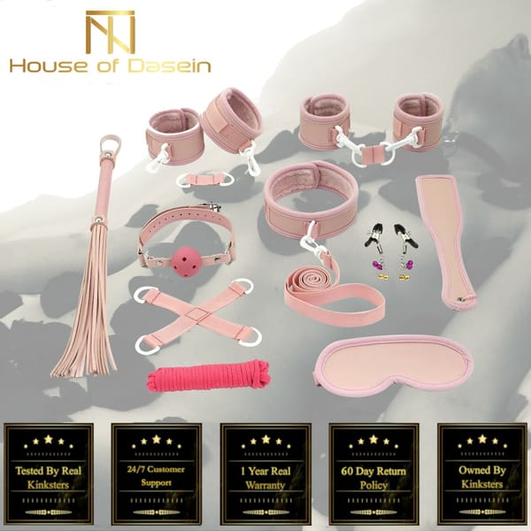 House Of Dasein Pink 10 Piece BDSM Kit Secondary image