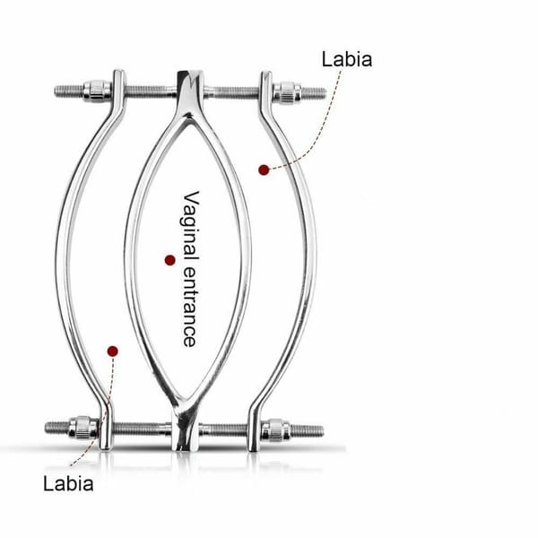 House Of Dasein Labia Spreader Silver Secondary image