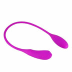 House of Dasein Pretty Love Double Vibrating Egg 7 Speed Purple House of Dasein