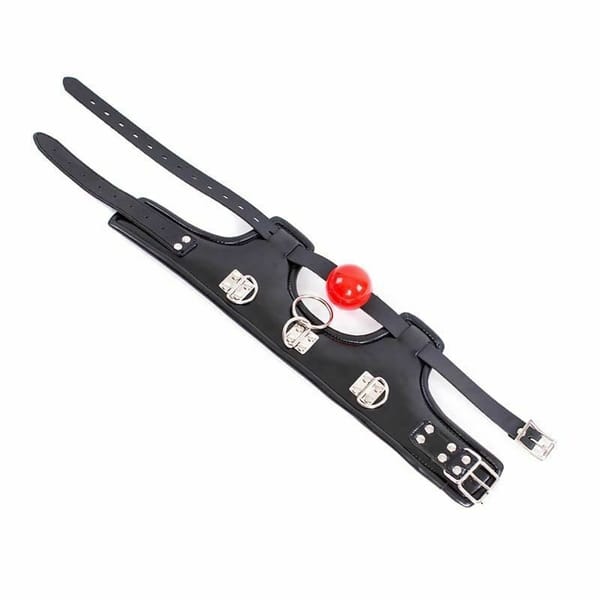House Of Dasein Padded Collar Ball Gag Red Secondary image