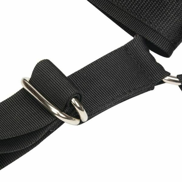 House of Dasein Love Position Sex Swing Harness Black House of Dasein
