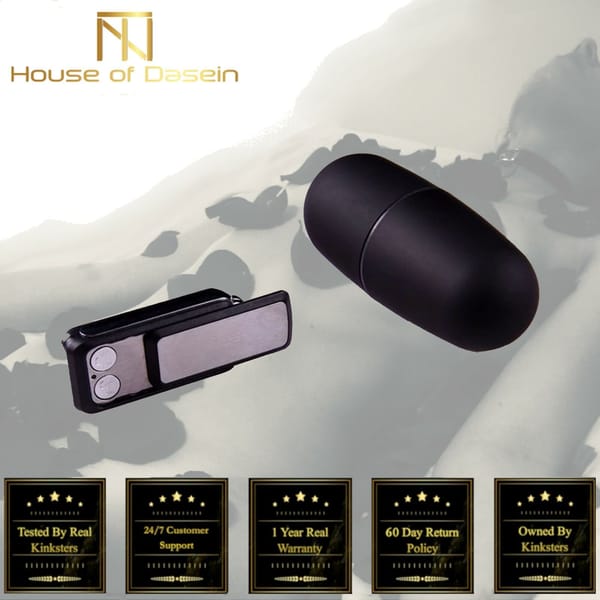 House of Dasein Wireless Remote Controlled Jump Egg Vibrator House of Dasein