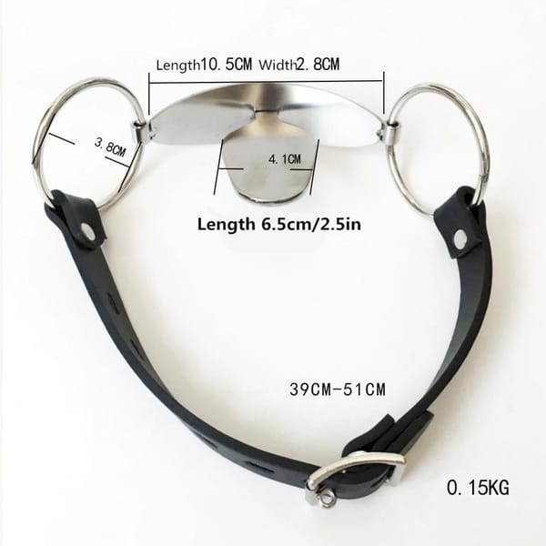 House of Dasein Stainless Steel Tongue Gag Silver House of Dasein