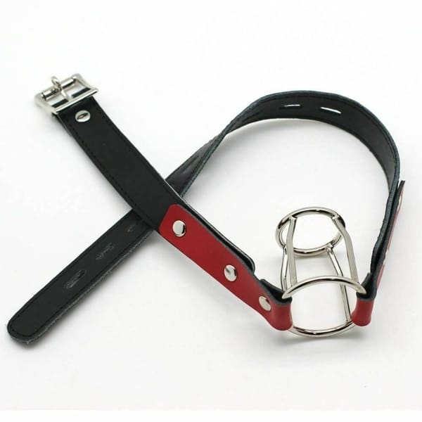 House of Dasein BDSM Double Ring Open Mouth Training Gag Red House of Dasein