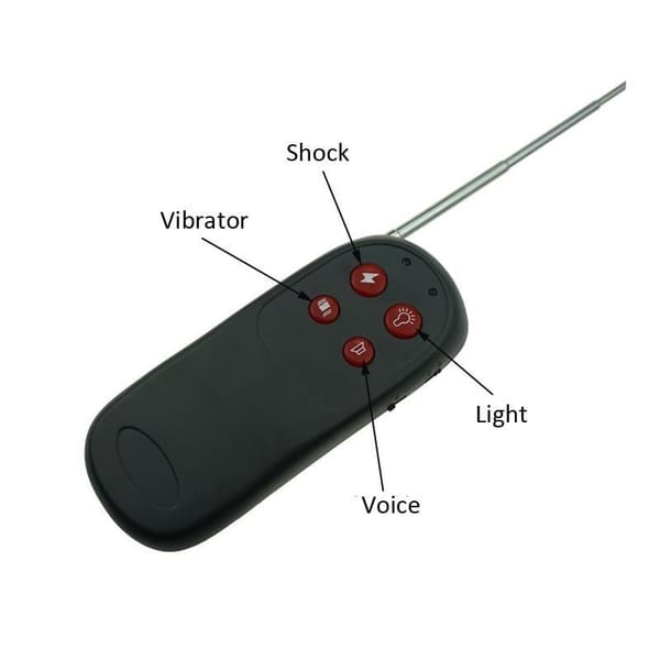House Of Dasein Electric Shock Cock Ring Vibrator BDSM Electro Bondage Black House of Dasein