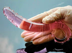 House Of Dasein Pink Tentacle Glass Dildo House of Dasein
