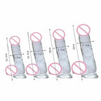 House Of Dasein Clear Jelly Dildo With Balls & Suction Cup M 18cm House of Dasein