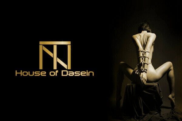 House of Dasein Metal Chain Flogger Spanking Whip House of Dasein
