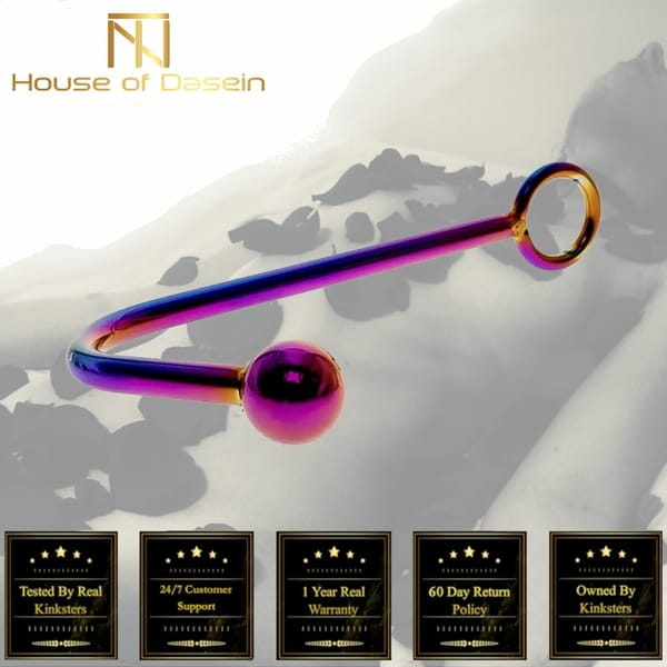 House of Dasein Stainless Steel Rainbow Anal Hook With Ball Rainbow House of Dasein
