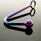 House of Dasein Stainless Steel Rainbow Anal Hook With Ball Rainbow House of Dasein