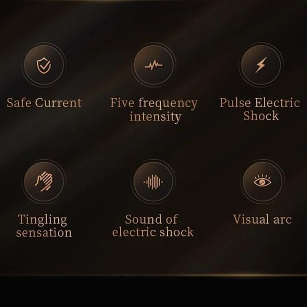 House Of Dasein Electric BDSM 5 Level Stimulation Flogger House of Dasein