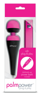 BMS Factory PalmPower Plug and Play USB Rechargeable Massage Wand
