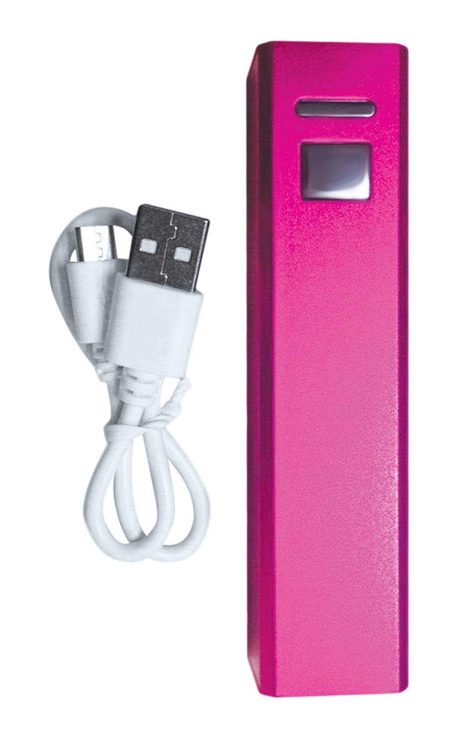 BMS Factory PalmPower Plug and Play USB Rechargeable Massage Wand