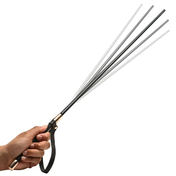 Master Series Sinful Impact Cane Plastic Cane Whip XR Brands