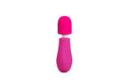 Rose Petite Massage Body Wand Vibrator Pink