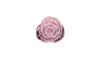 BMS Factory Pillow Talk Rosy Luxurious Glass Anal Plug With Clear Gem BMS Factory