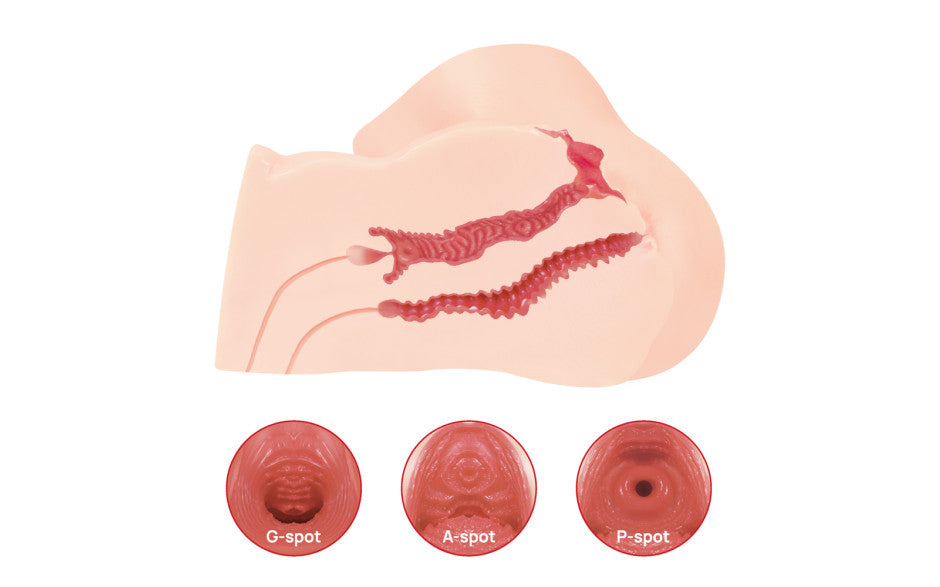 Kokos Maria Onahole 3 Realistic Pussy & Ass 1:1 Torso Male Stroker Secondary image