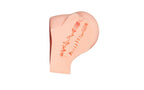 ToyFA Juicy Amanda Realistic Butt Mens Masturbator ToyFA