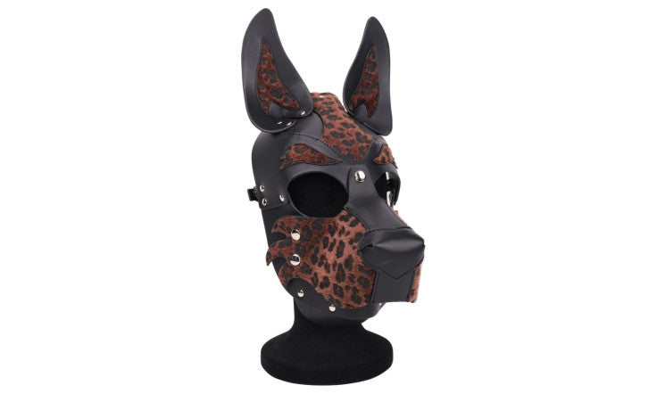 Daytona Dog Pup Hood Daytona