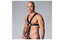 Sport Fucker Neoprene Full Harness Black LOVVA