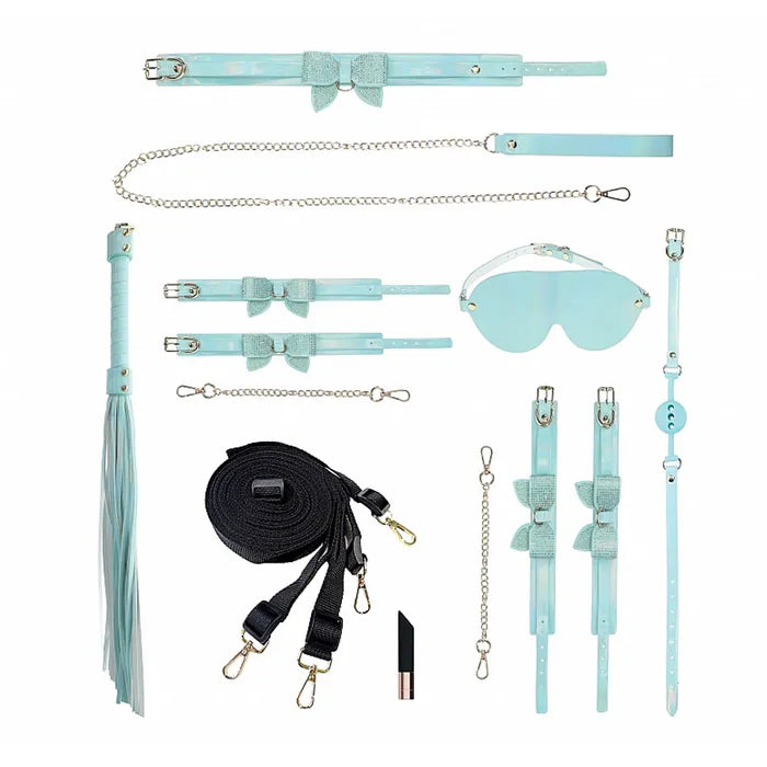OUCH! Paris Collection Kit With Bag 8 Piece Kit Baby Blue Shots Toys