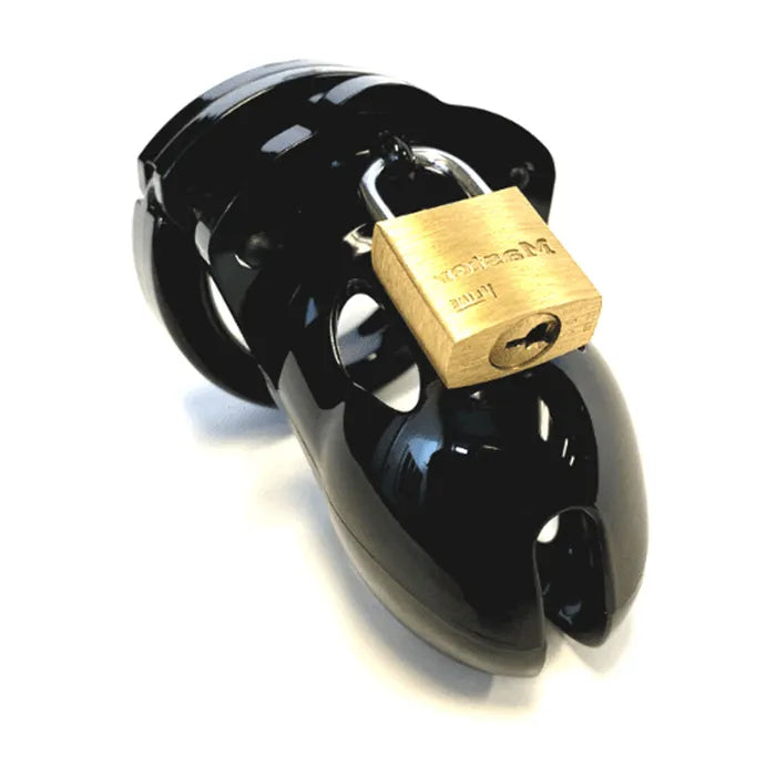 Mr. Stubb Chastity Cock Cage Kit Cock Cage Kit 1.75 Inch Secondary image