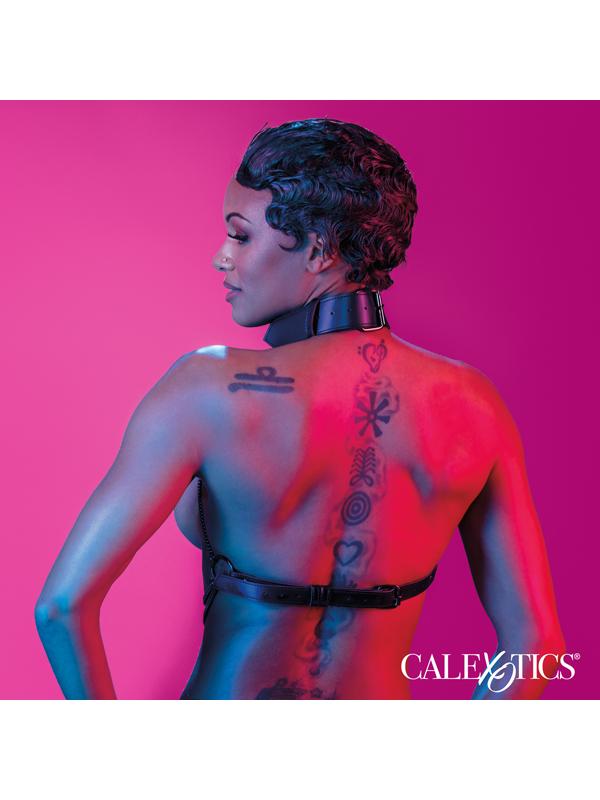 Euphoria Collection Multi Chain Collar Harness CalExotics Main image