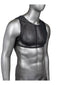 Radiance Crop Top CalExotics