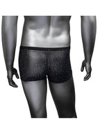Radiance Boxer Briefs CalExotics