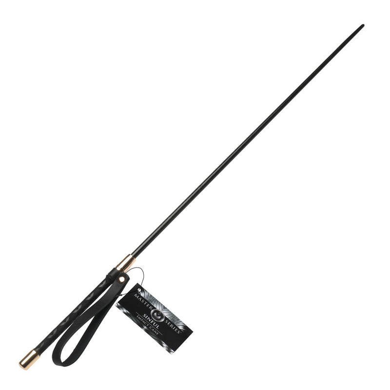 Master Series Sinful Impact Cane Plastic Cane Whip