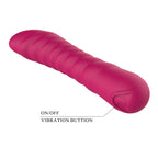 Party Up JAYLEI USB Rechargeable Vibrator 14.6cm Party Up