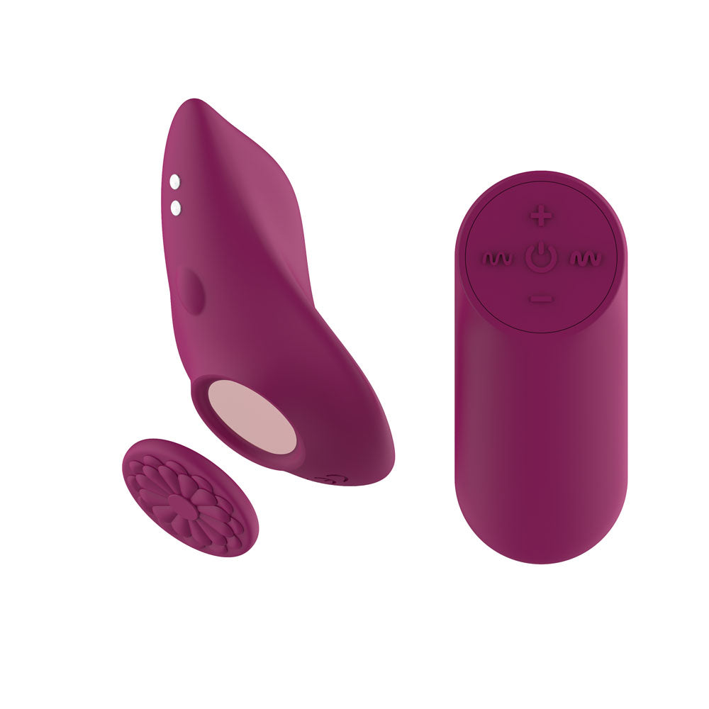 Passion Play USB Rechargeable Panty Vibrator With Wireless Remote Control Passion Play