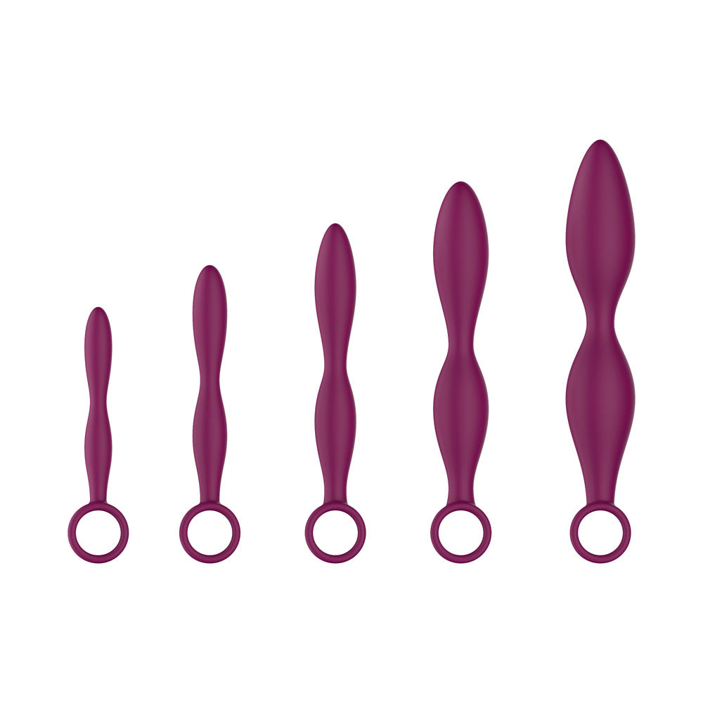 Passion Play Silicone Dilator Kit Purple