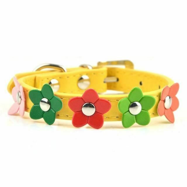 House Of Dasein Rainbow Flower Collars Pet Play Puppy Kitten Bondage Kink Fetish Restraints - Yellow - L Main image
