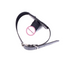 House Of Dasein Black Silicone Dildo Gag Phallic Mouth Muzzle Bondage Restraint - Black - 6Cm