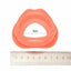 House Of Dasein Silicone Rubber Open Mouth Lips Gag Bdsm Bondage Kink - Pink