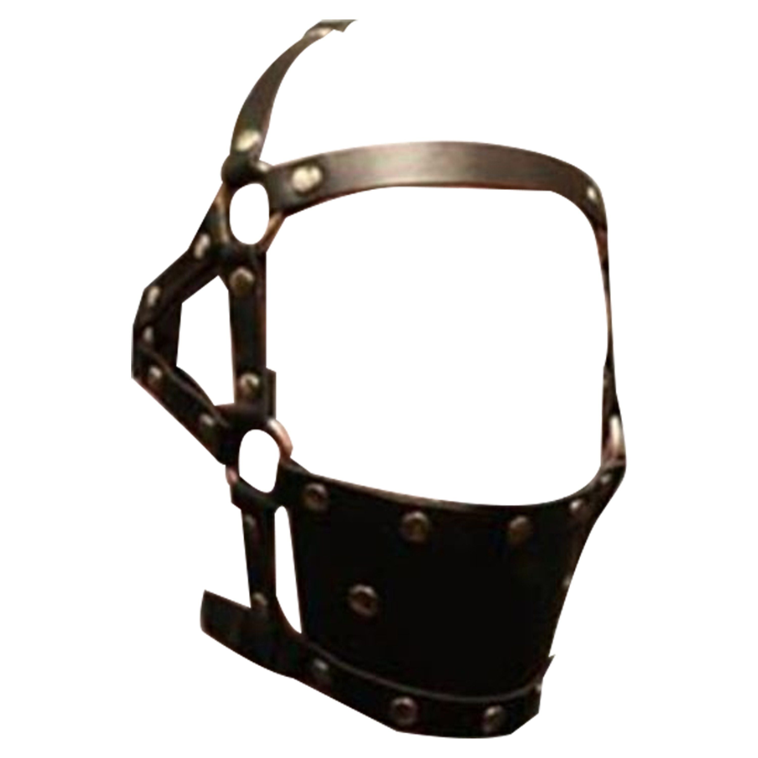 House Of Dasein Ball Gag Head Harness Mask Muzzle Blindfold Bondage Kink Bdsm Fetish Restraints - Style I