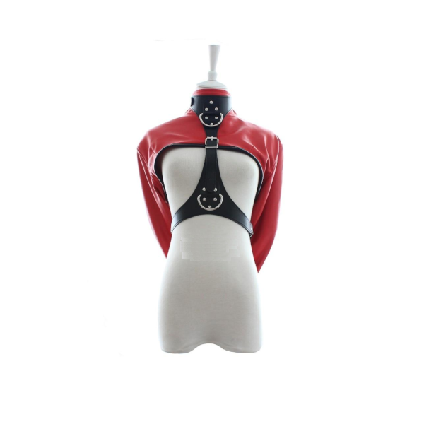 House Of Dasein Straitjacket Body Harness Bondage Kink Fetish Restraints - Red Main image