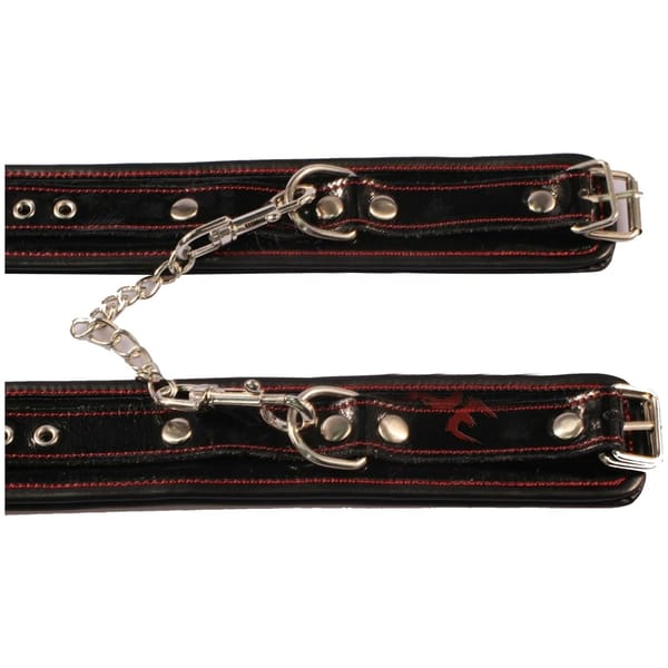 House of Dasein Genuine Leather Bondage Kit Secondary image