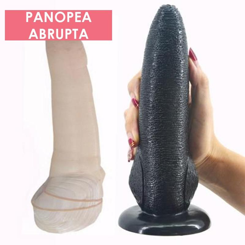 House Of Dasein Mythical Creature Monster Dildo Dong Fantasy Dinosaur Large - Panopea Abrupta F61