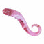 House Of Dasein Seahorse Crystal Pink Pyrex Glass Dildo Spot Simulator Sex Toy - Pink - Large