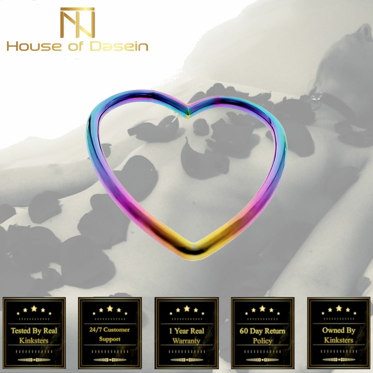 House Of Dasein Rainbow Heart Shibari Stainless Steel Bondage Suspension Ring Bdsm - Rainbow Main image