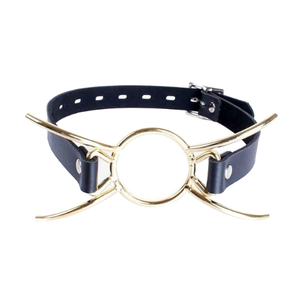 House Of Dasein Metal Spider Gag Open Mouth Bondage Kink Restraints - Gold Main image
