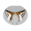 House Of Dasein Fox Ears Headband Anime Headdress Cute Girls Hair Accessories Cosplay Props Hoop Headwear - Ears