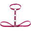 House Of Dasein Y Choker Faux Leather Chest Harness Women Body Fetish Clothing - Rose
